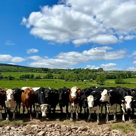 Hotel Tom Rocky's Farmyard Templemore