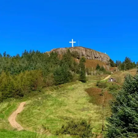 Tom Rocky's Farmyard Hotel